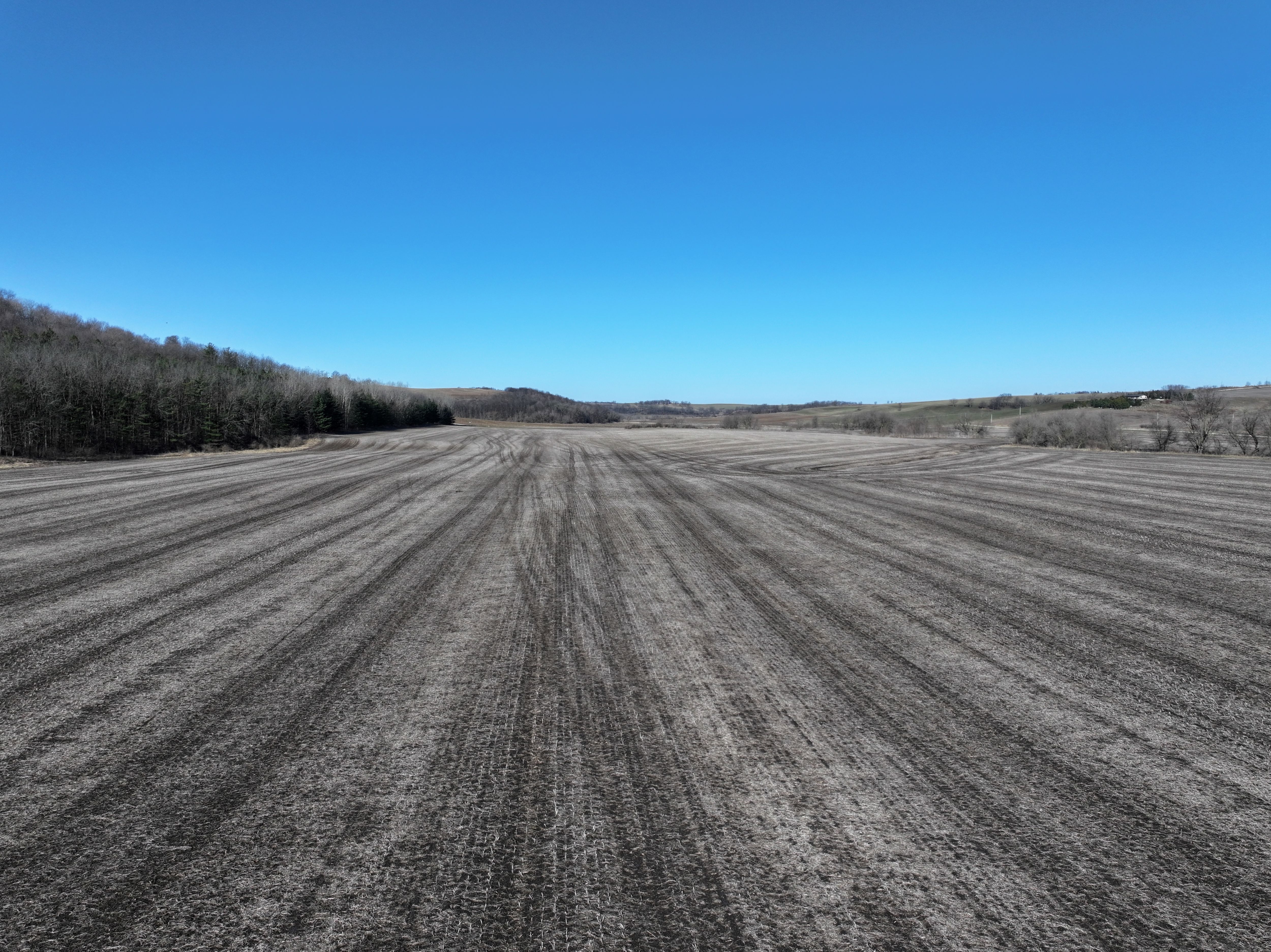Listing Photo: Lafayette-County-Wisconsin-Farmland-For-Sale (4)